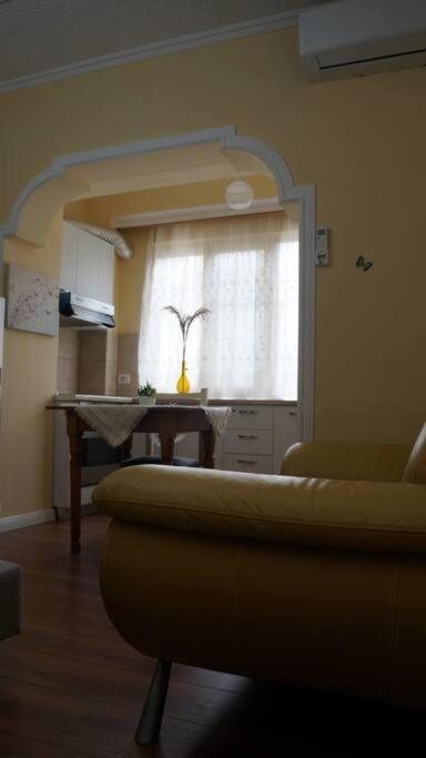 Alle'S M Shyri Studio Apartment Тирана Екстер'єр фото