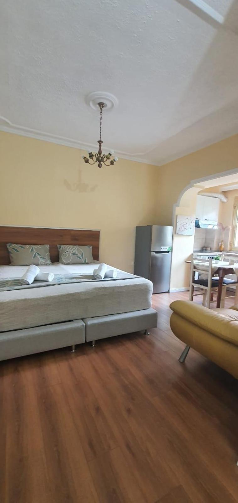 Alle'S M Shyri Studio Apartment Тирана Екстер'єр фото