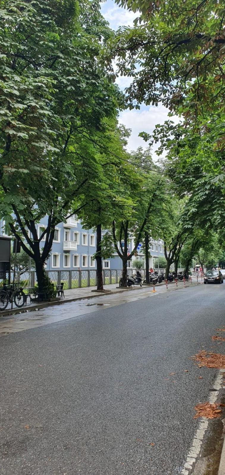 Alle'S M Shyri Studio Apartment Тирана Екстер'єр фото